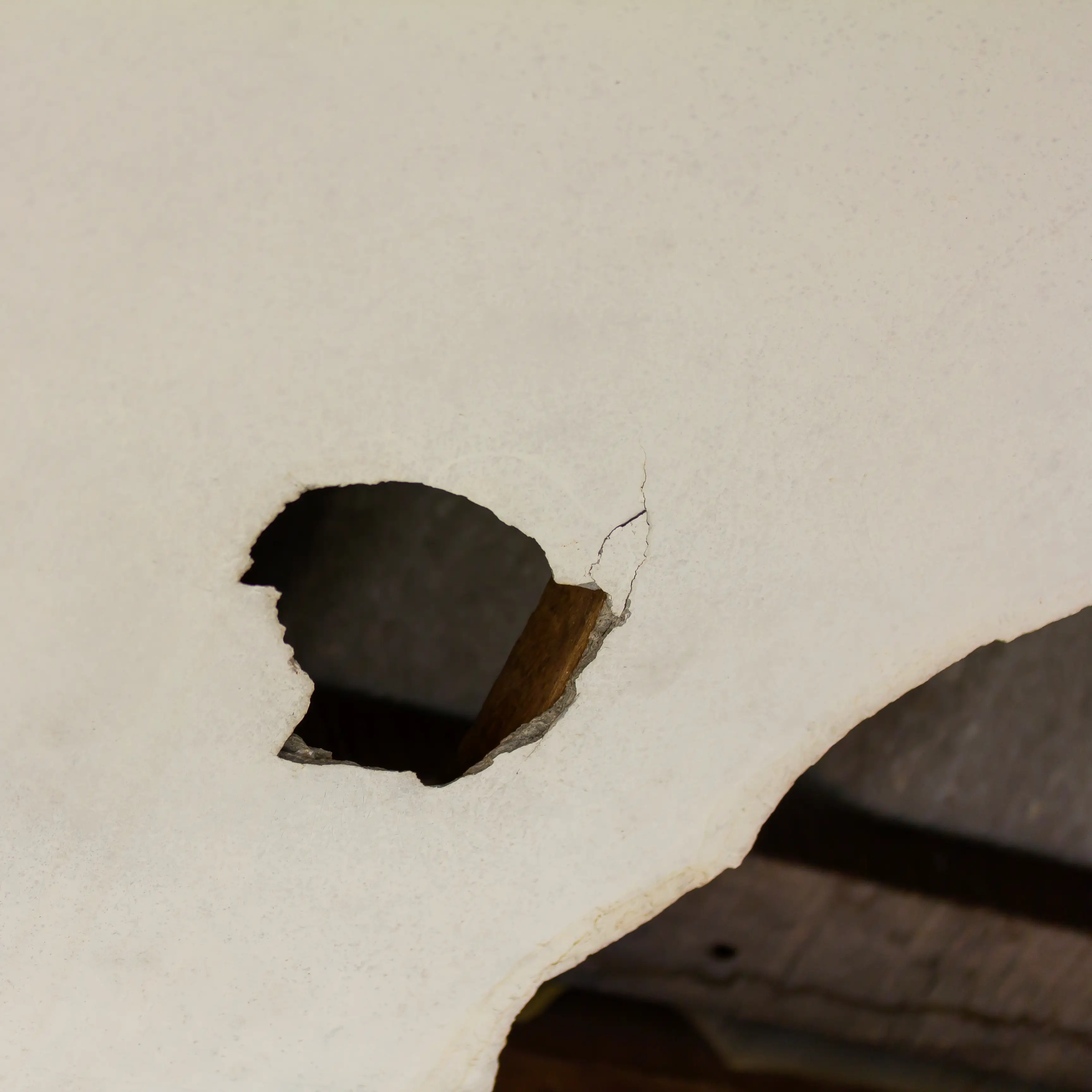 drywall and plaster repair service in Bellingham, WA